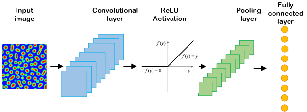  Figure 2.1 Schematic of a typical convolutional neural network. 
