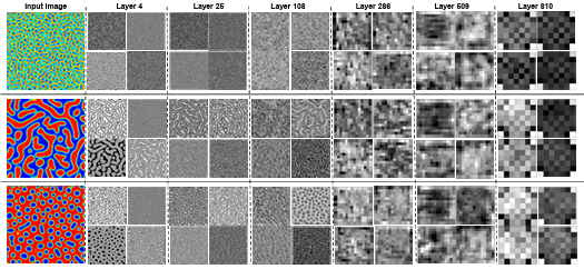  Figure 3.4 Sample response maps in EfficientNetB7 for 2D microstructure morphology inputs. The response map of the first four filters of some convolutional layers is illustrated for three input images. The layer numbers are presented at the top of the images. 